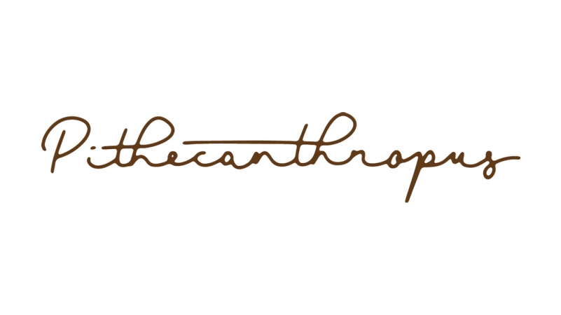 Pithecanthropus Pithecanthropus